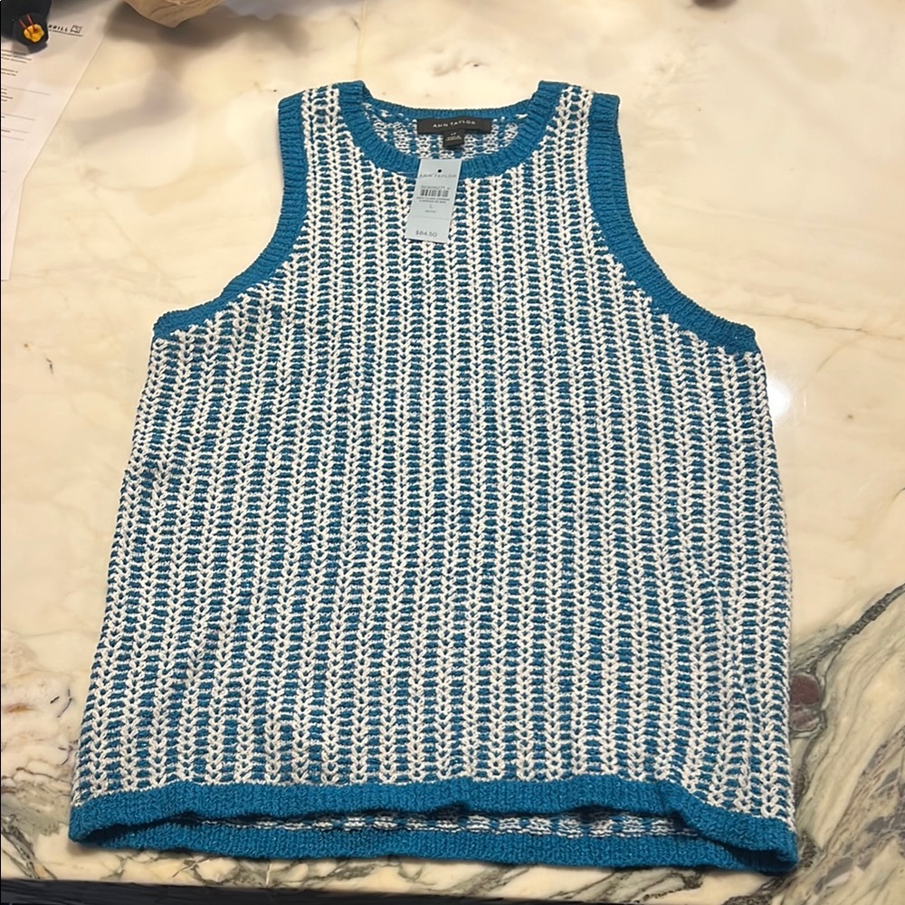 Ann Taylor Blue and White Knit Tank Top